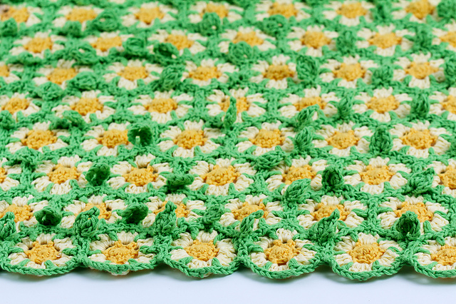 Daisy flower blanket
