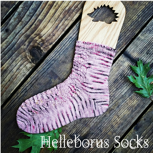 Helleborus