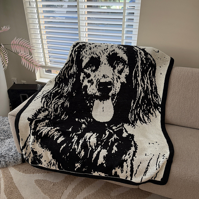 Faithful Flatcoated Retriever