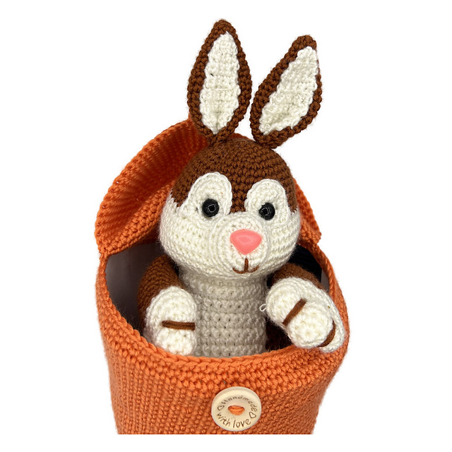 Bunny in Carrot