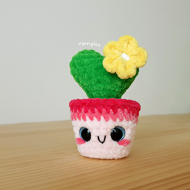 Tiny Heart Cactus