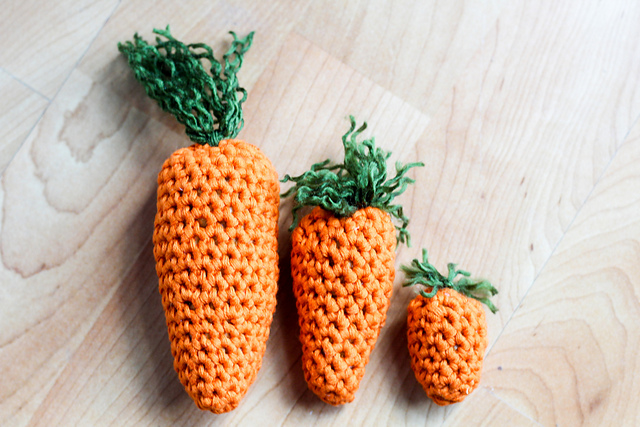 Carrot Family