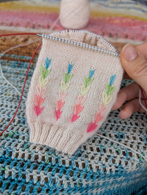 Flower Field Socks