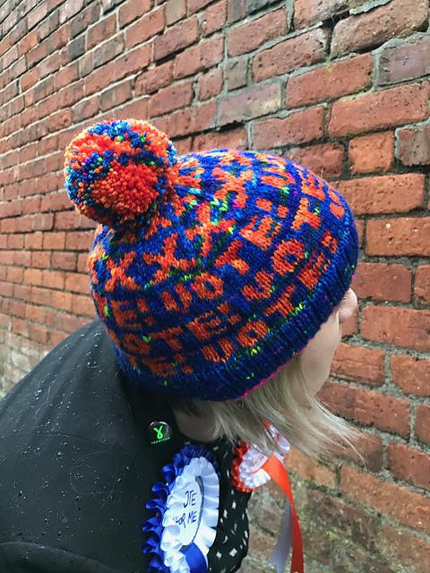 Ballot Box Beanie