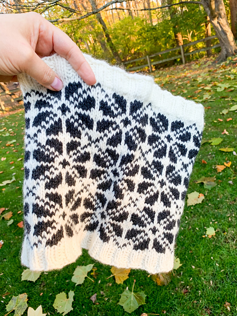 Arabis Cowl