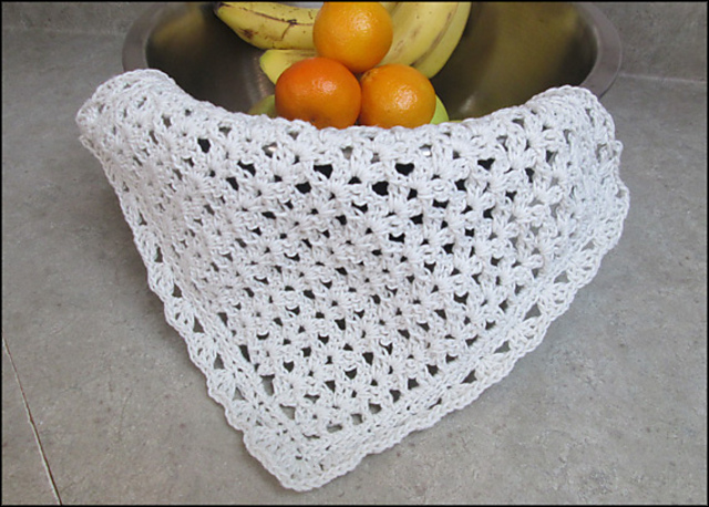 January Snow Dishcloth Set