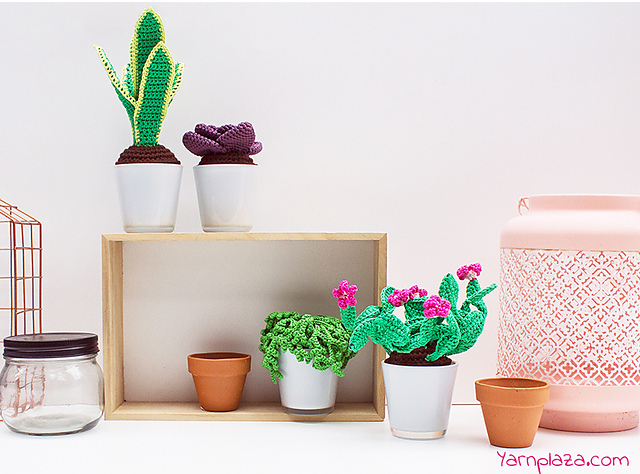 Succulents