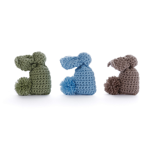 Beginner Bunny