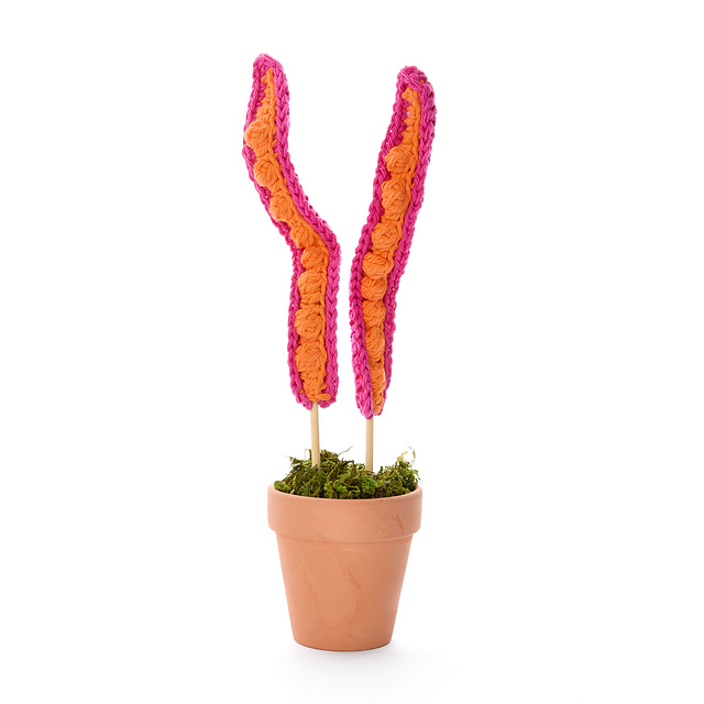 Plant Tentacles