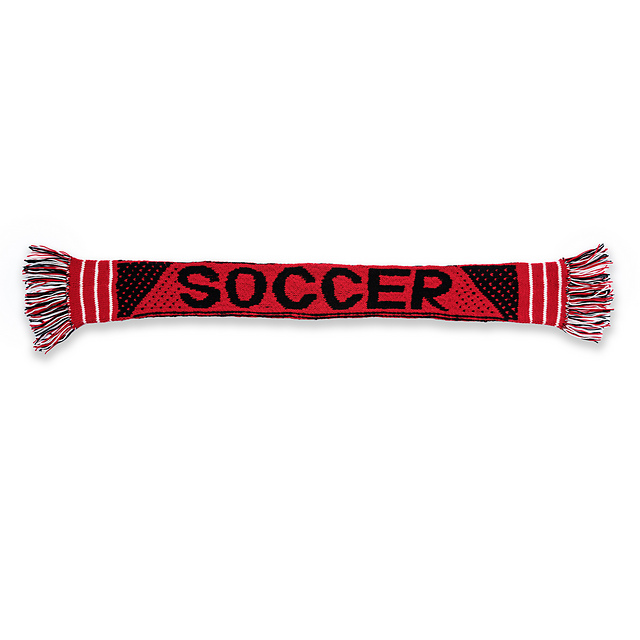 Team Pride Scarf (knit)