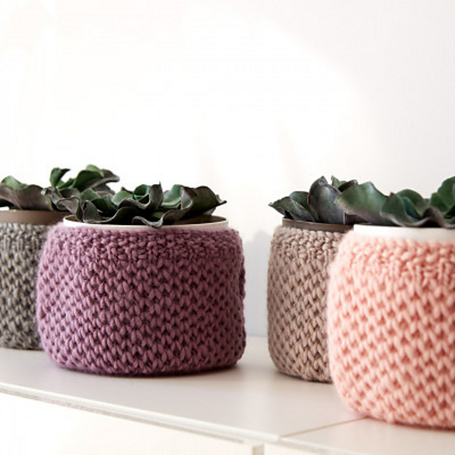 Plant Cozies