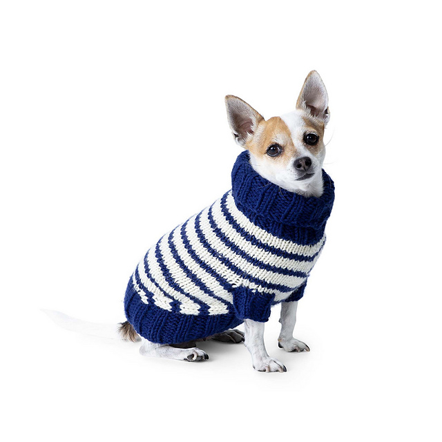 Striped Dog Coat