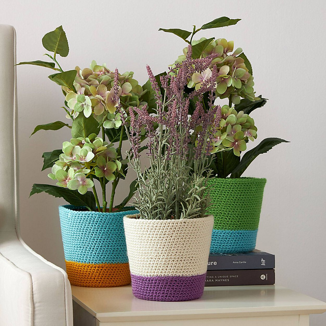 Dip Your Toe Plant Cozies