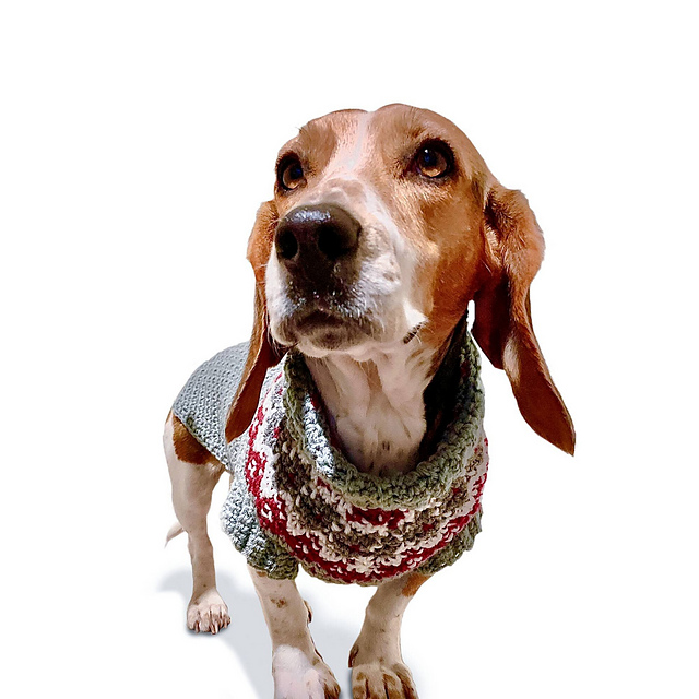 Family Dog Sweater