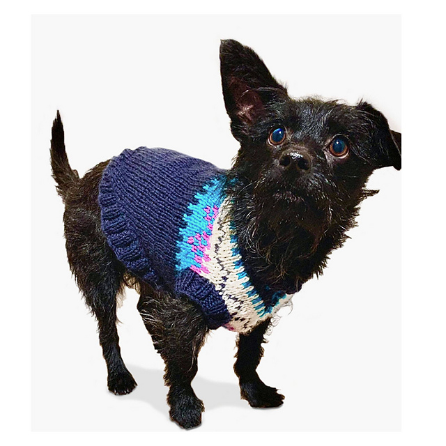 Family Dog Sweater
