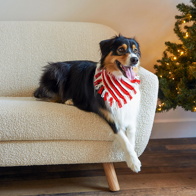 Peppermint Pet Neckerchief