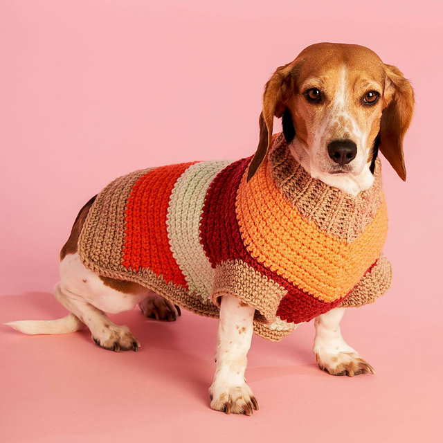 Crochet dog shirt hotsell