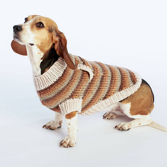 Neutral Stripes Dog Coat