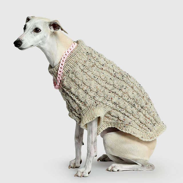 Cabled Dog Coat