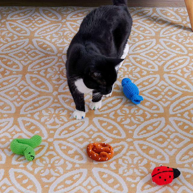 Playful Kitty Toys