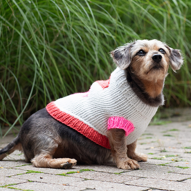 Puppy Love Sweater
