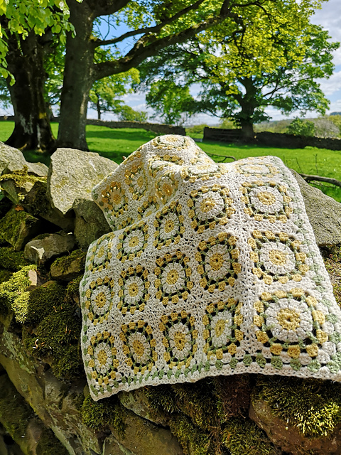 The Daisy Meadow Baby Blanket