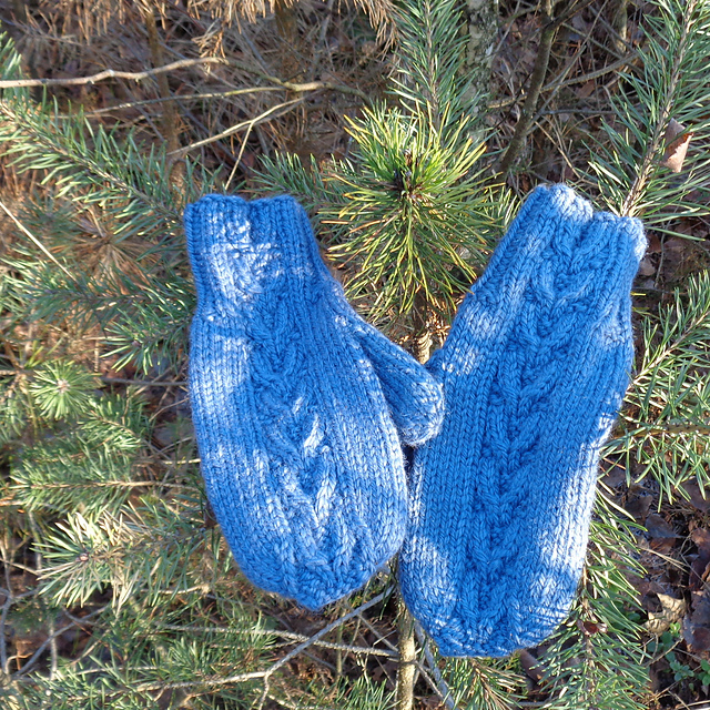 Abuabu mittens
