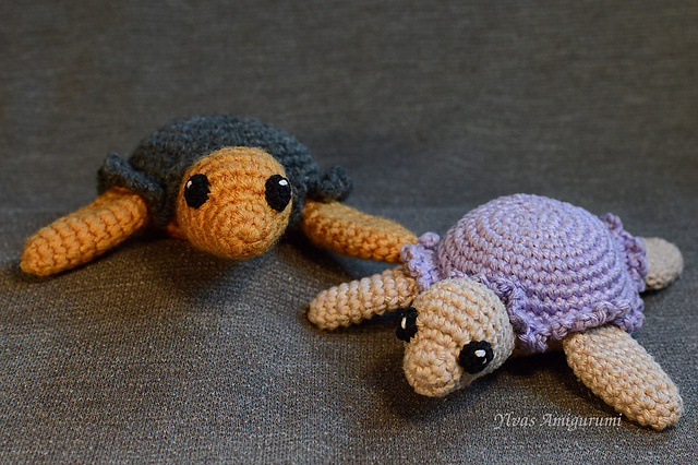 Tortelleo the Sea Turtle