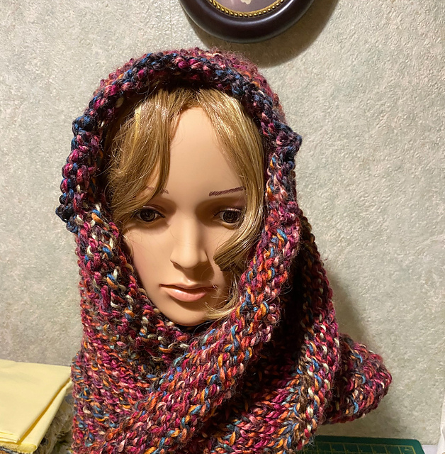 Explorer Moebius Snood