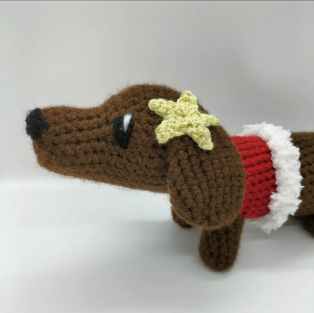 Stella the Stargazing Sausage Dog
