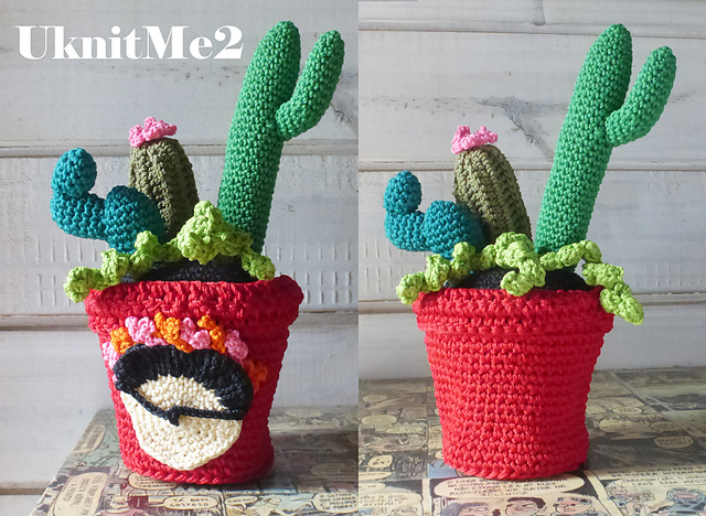 Cactus Pot Frida secret Box