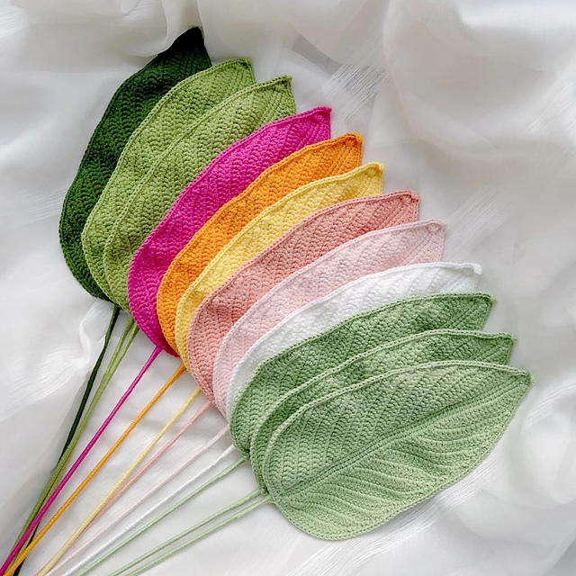 Broad Strelitzia Leaf