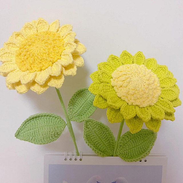 Cream Sunflower