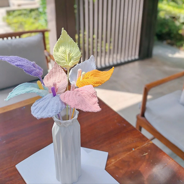 Anthurium Andraeanum