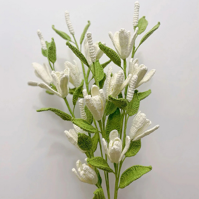 Michelia Champaca