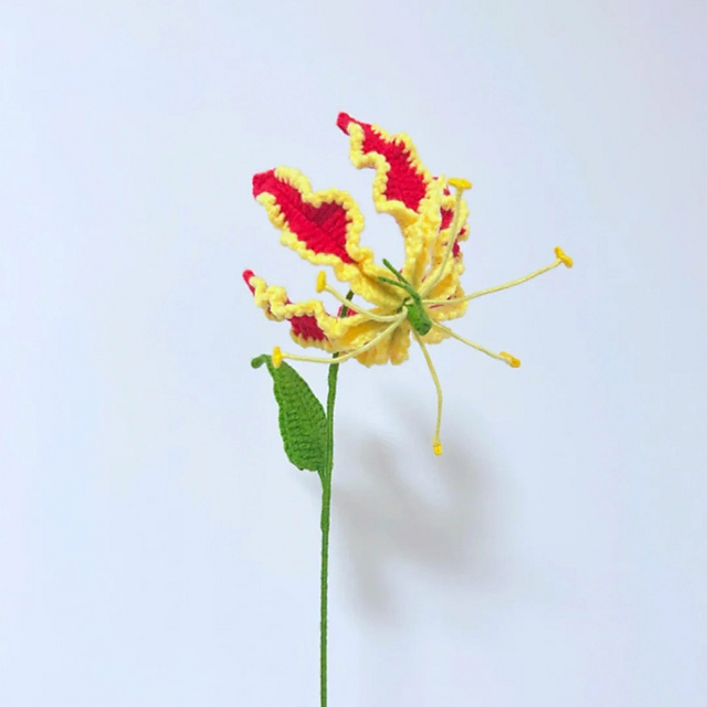 Flame Lily