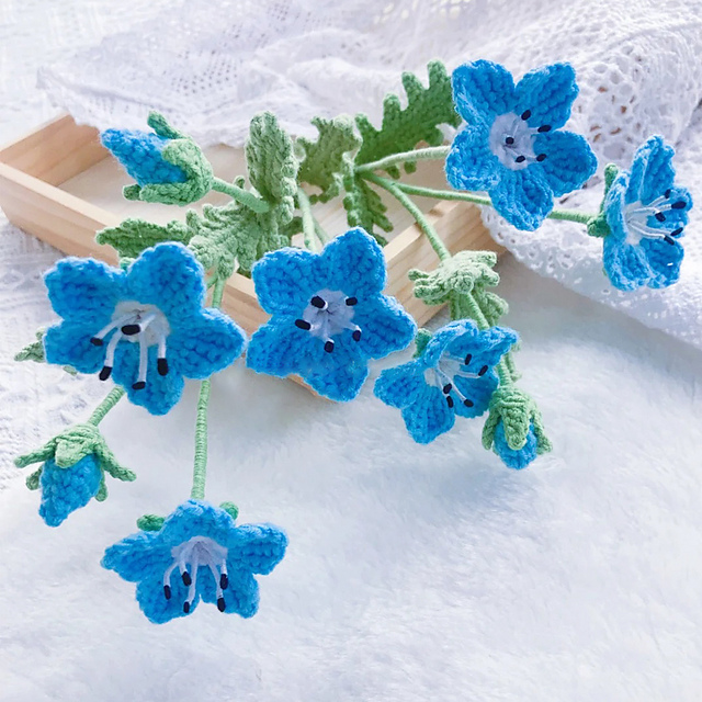 Baby Blue Eyes Flower