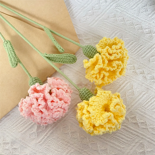 Simple Version of Carnation