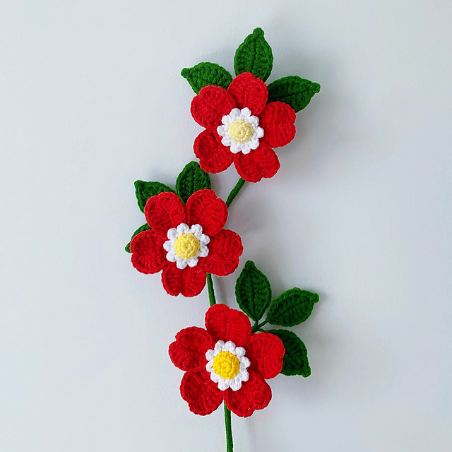 Rosa Canina Flower