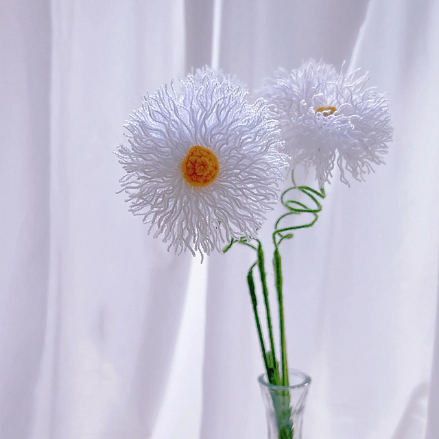 Erigeron philadelphicus