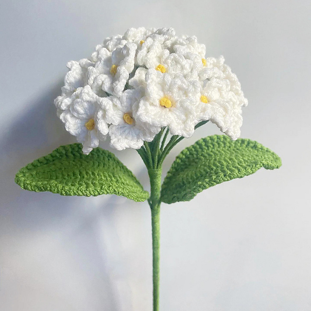 Hydrangea  Flower
