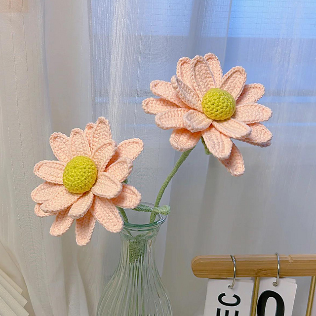 Softone Daisy Flower