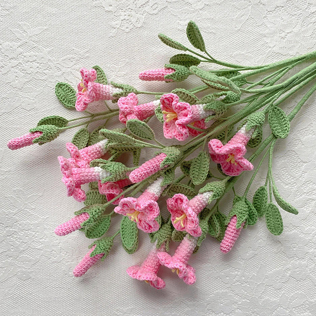 Campsis Grandiflora