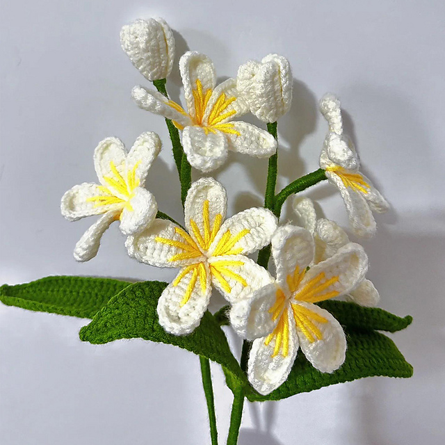 Plumeria Flower