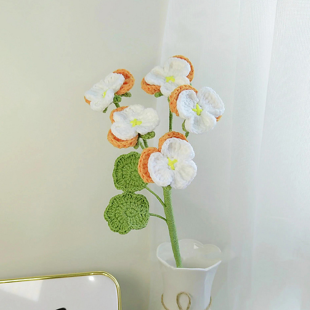 Wild Pansy Flower