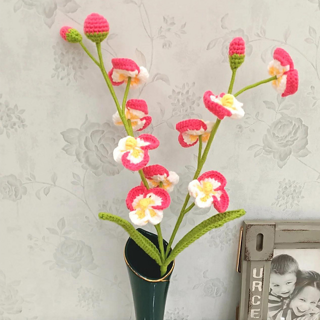 Small Phalaenopsis