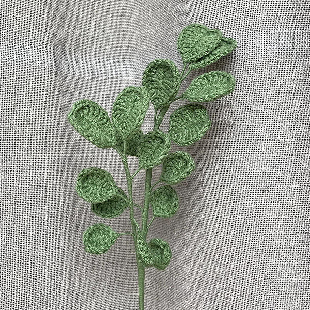 Broad Eucalyptus Leaves