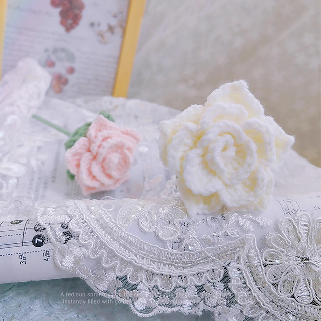 Chinese Rose