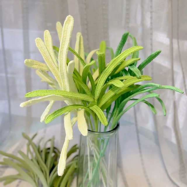 Cymbidium Leaves