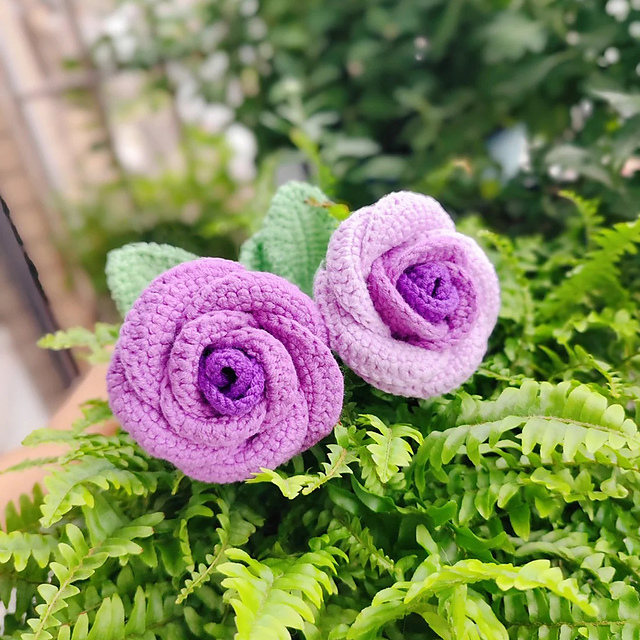 Curled Rose